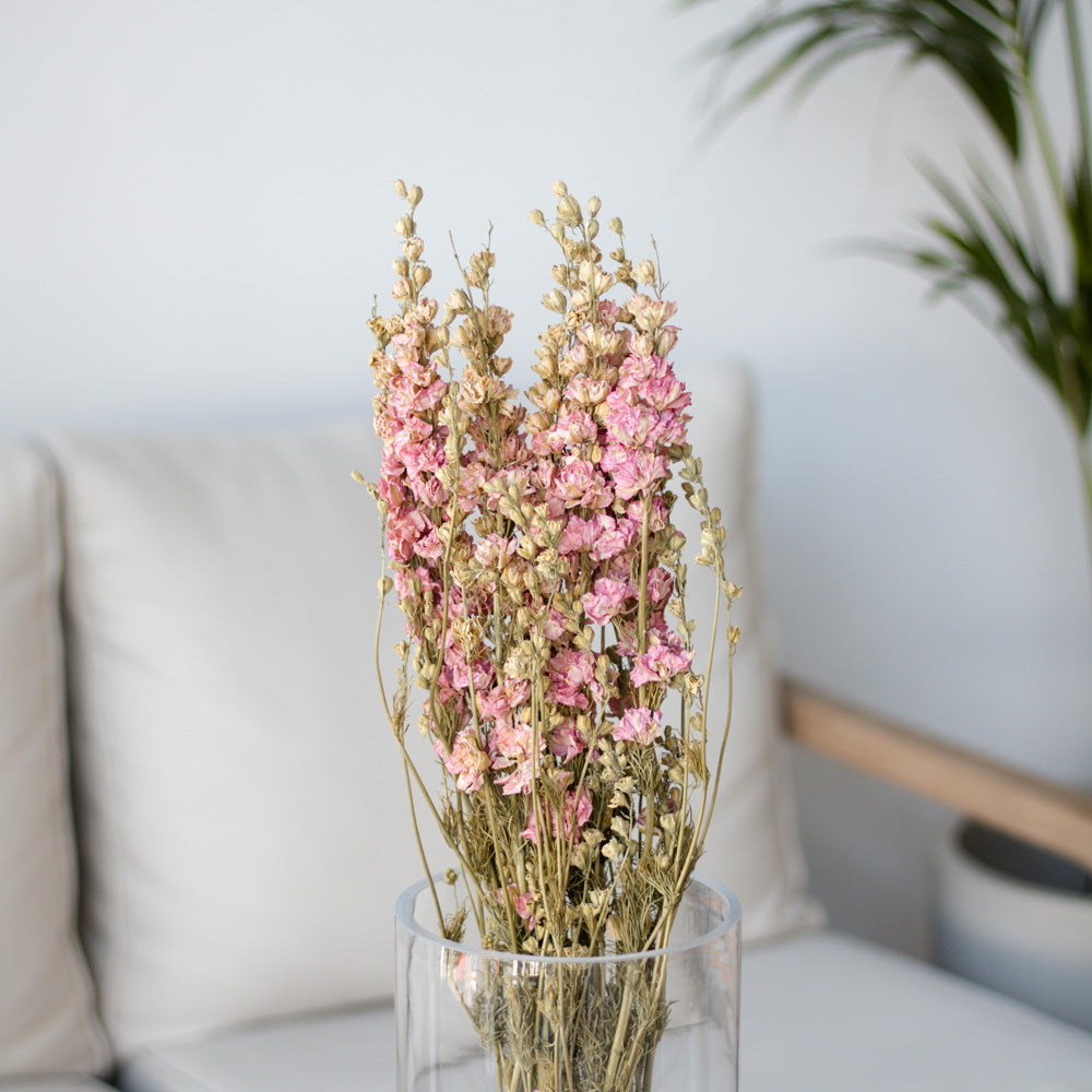 Getrockneter Rittersporn Delphinium in pink, Bund 60cm - mahina