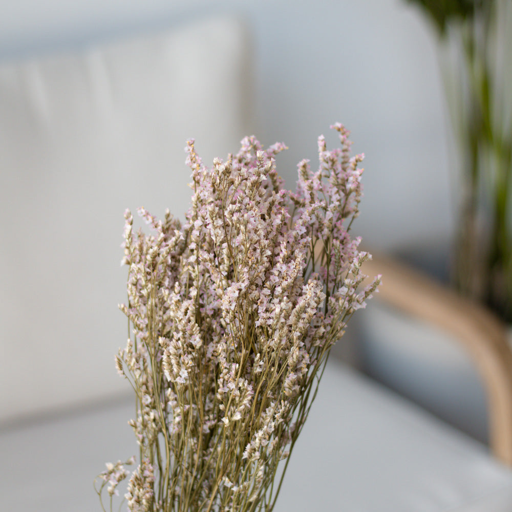 Getrockneter Limonium Diamond in rose 50g, 60cm - mahina