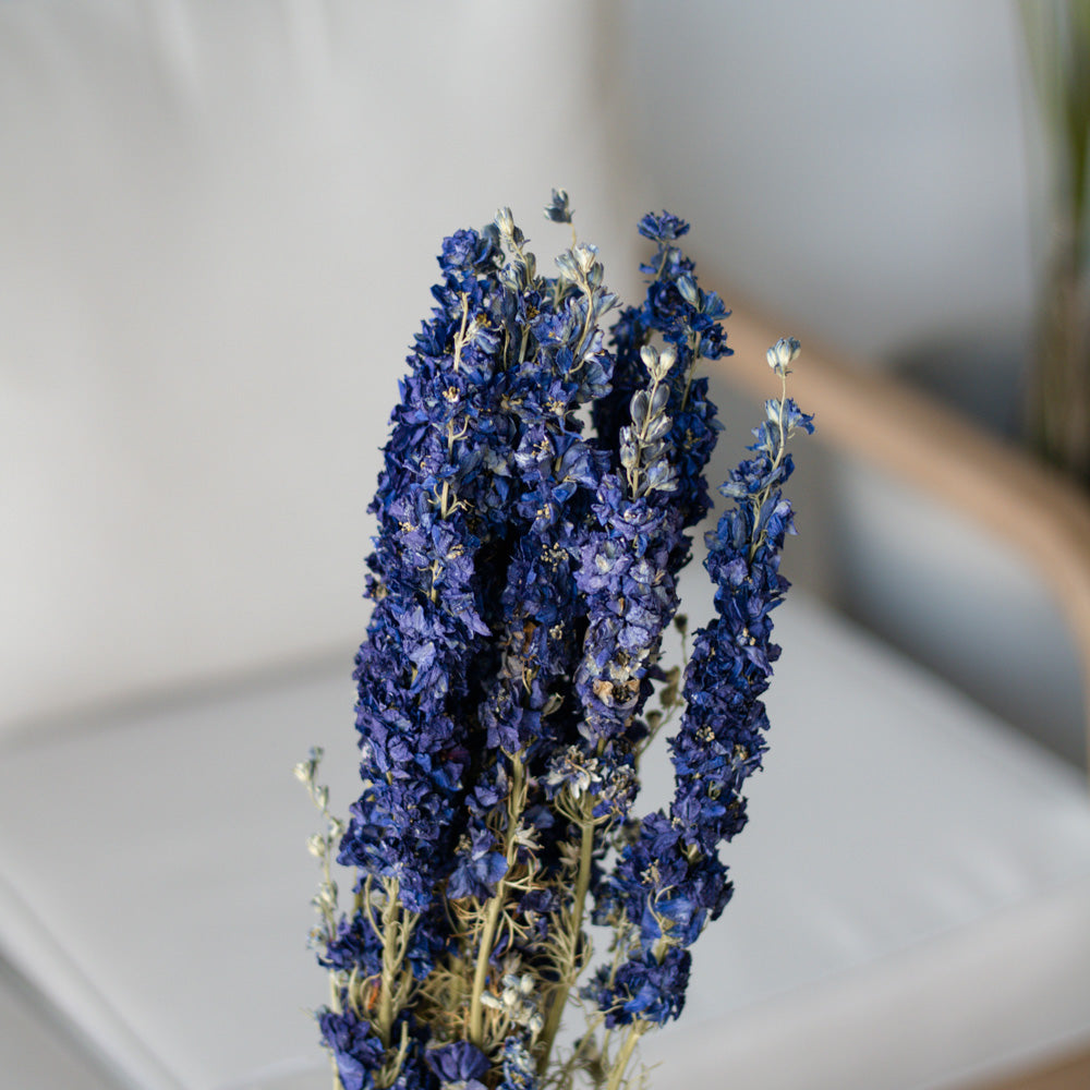 Getrockneter Rittersporn Delphinium in blau, Bund 60cm - mahina