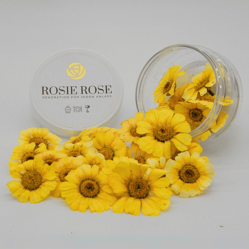 Rosie Rose "Special Blüten" 15 Stück - mahina