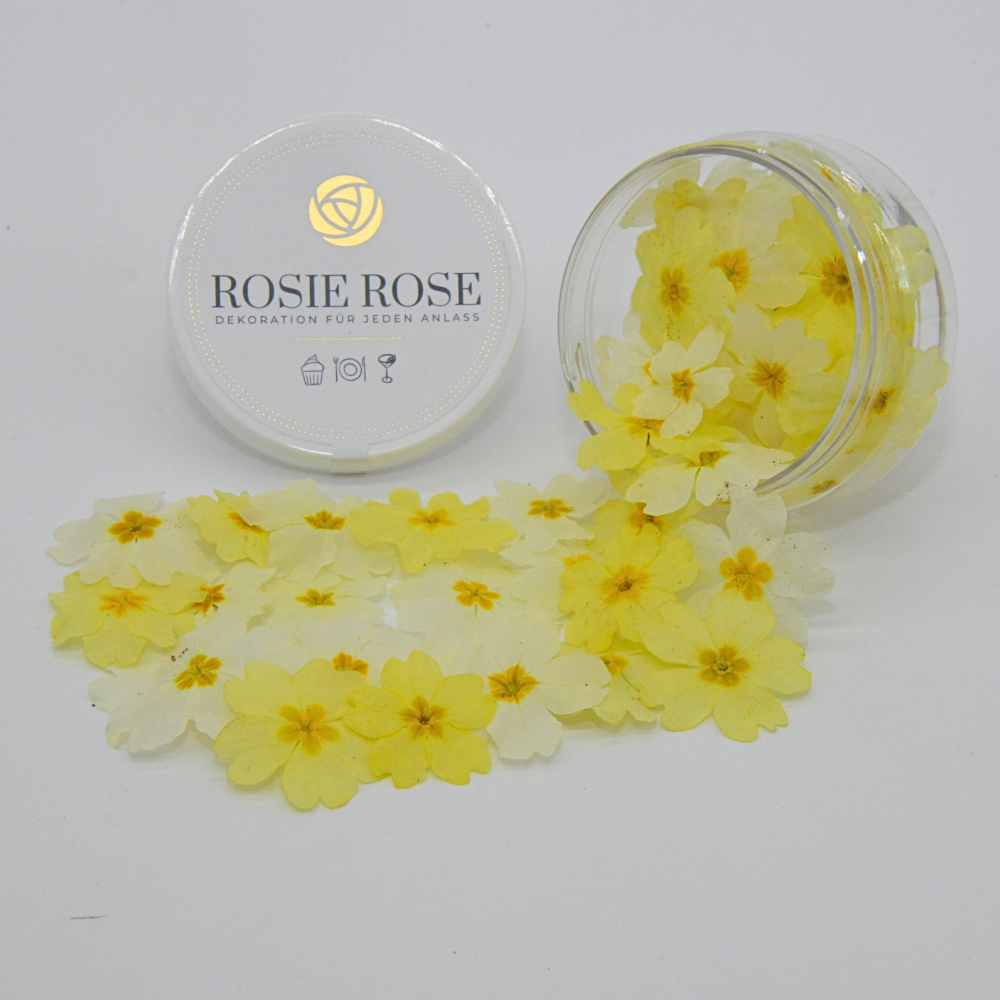 Rosie Rose "Special Blüten" 15 Stück - mahina