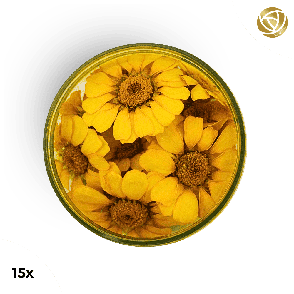 Rosie Rose "Special Blüten" 15 Stück - mahina