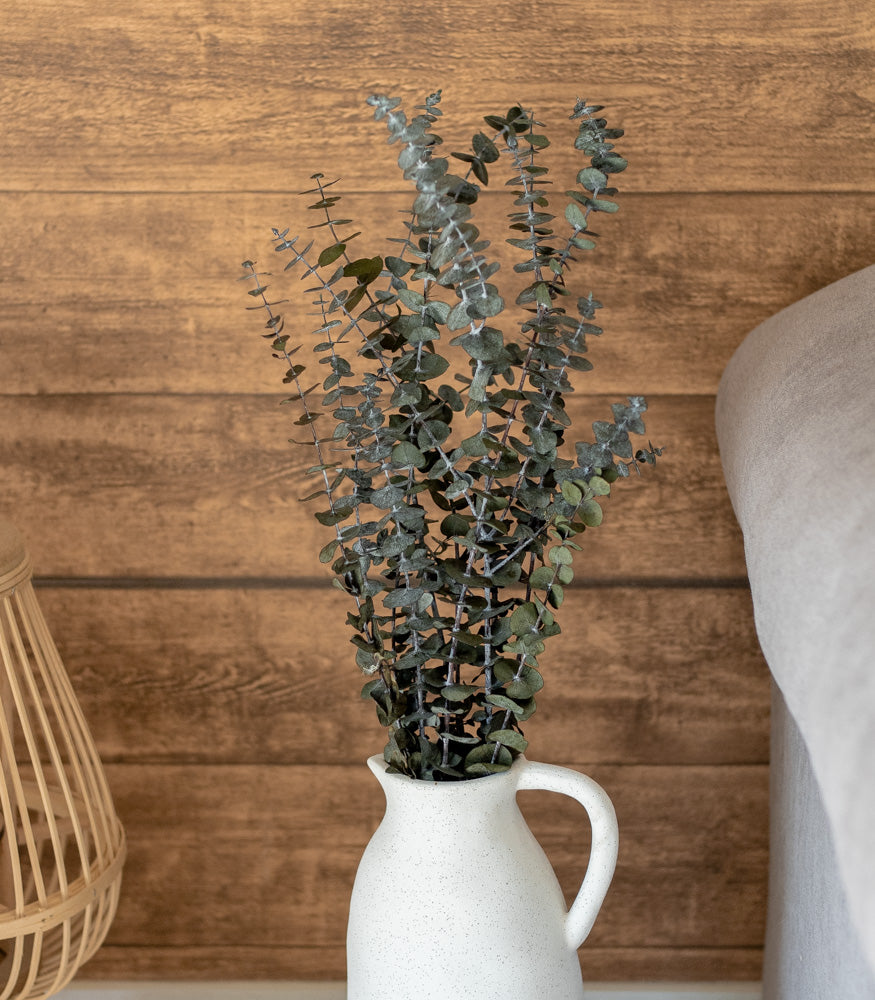 Getrockneter Eukalyptus "Baby Blue", Bund 150g - mahina