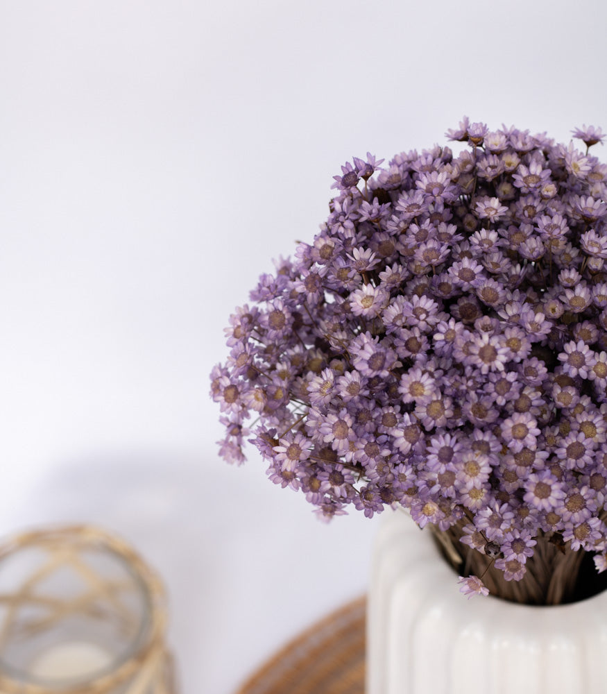 Getrocknete Glixia in lila, Bund 70g - mahina