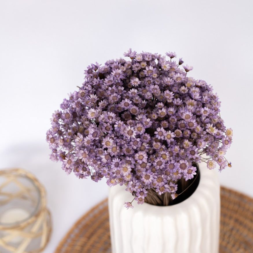 Getrocknete Glixia in lila, Bund 70g - mahina