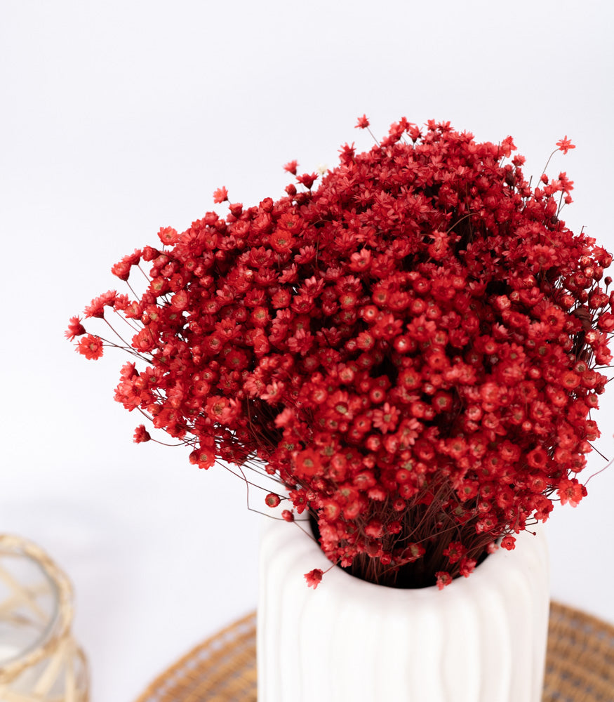 Getrocknete Glixia in rot, Bund 70g - mahina