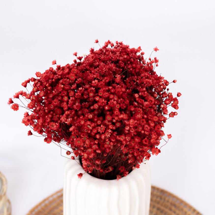 Getrocknete Glixia in rot, Bund 70g - mahina