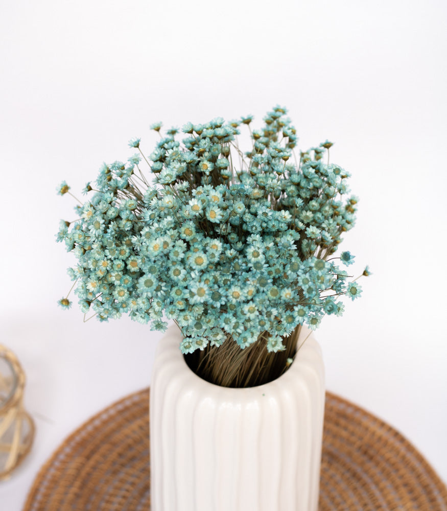 Getrocknete Glixia in blau, Bund 70g - mahina