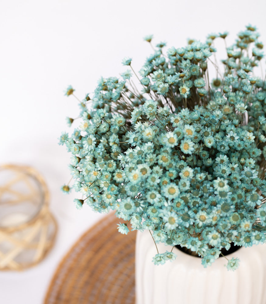 Getrocknete Glixia in blau, Bund 70g - mahina