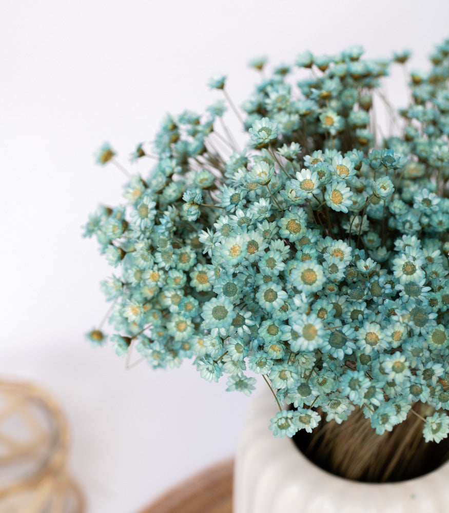 Getrocknete Glixia in blau, Bund 70g - mahina