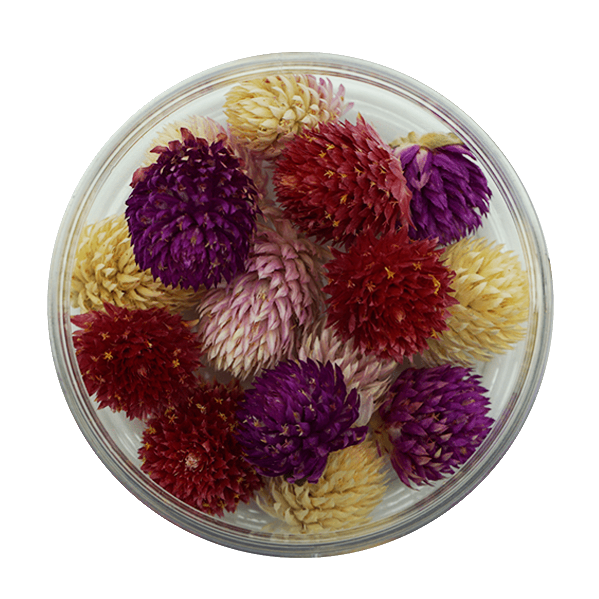 Essbare Blüten "Kugelamarant" 15 Stück - 5 Farben - mahina