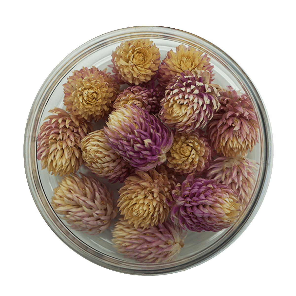 Essbare Blüten "Kugelamarant" 15 Stück - 5 Farben - mahina