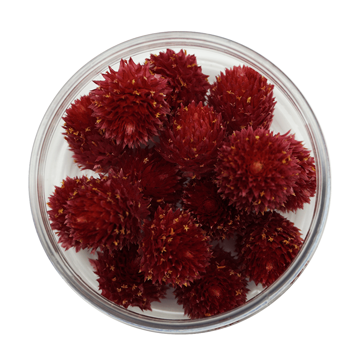 Essbare Blüten "Kugelamarant" 15 Stück - 5 Farben - mahina