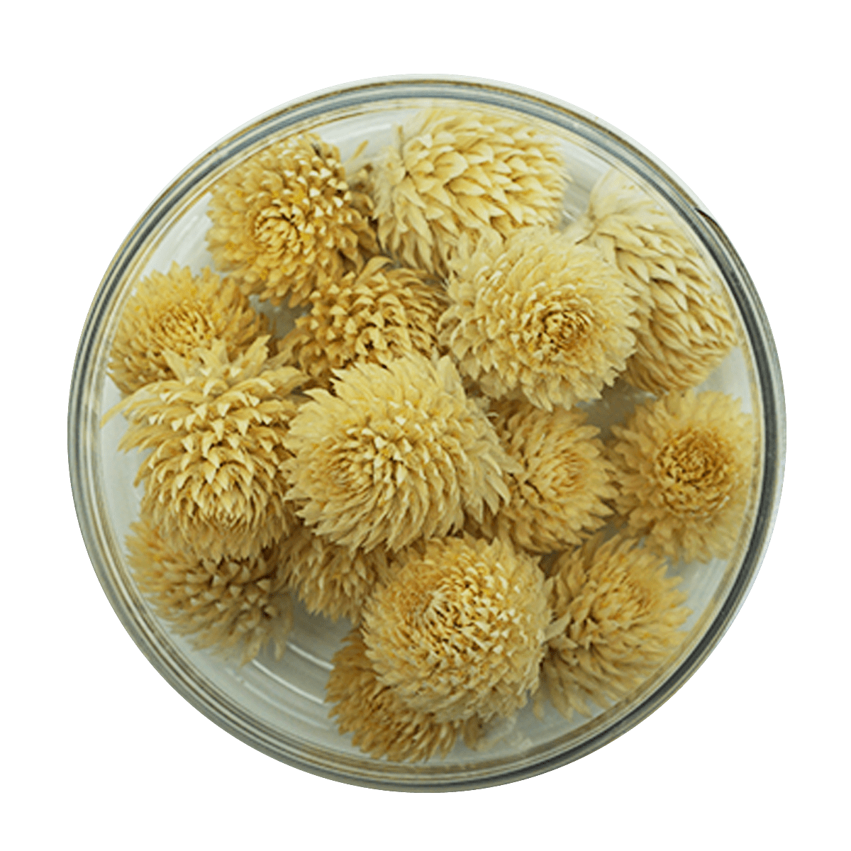 Essbare Blüten "Kugelamarant" 15 Stück - 5 Farben - mahina