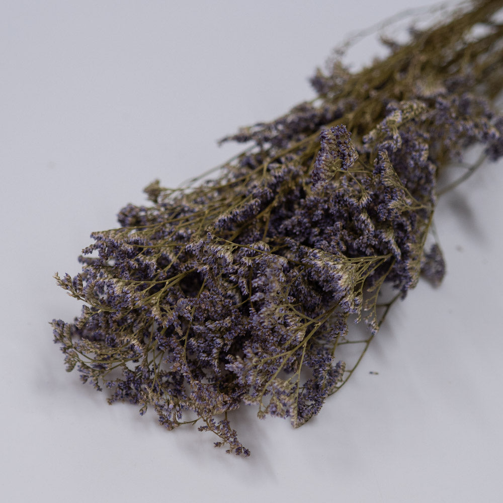 Getrockneter Limonium Diamond in blau, 50g, 60cm - Trockenblumen -> Sorten von mahina