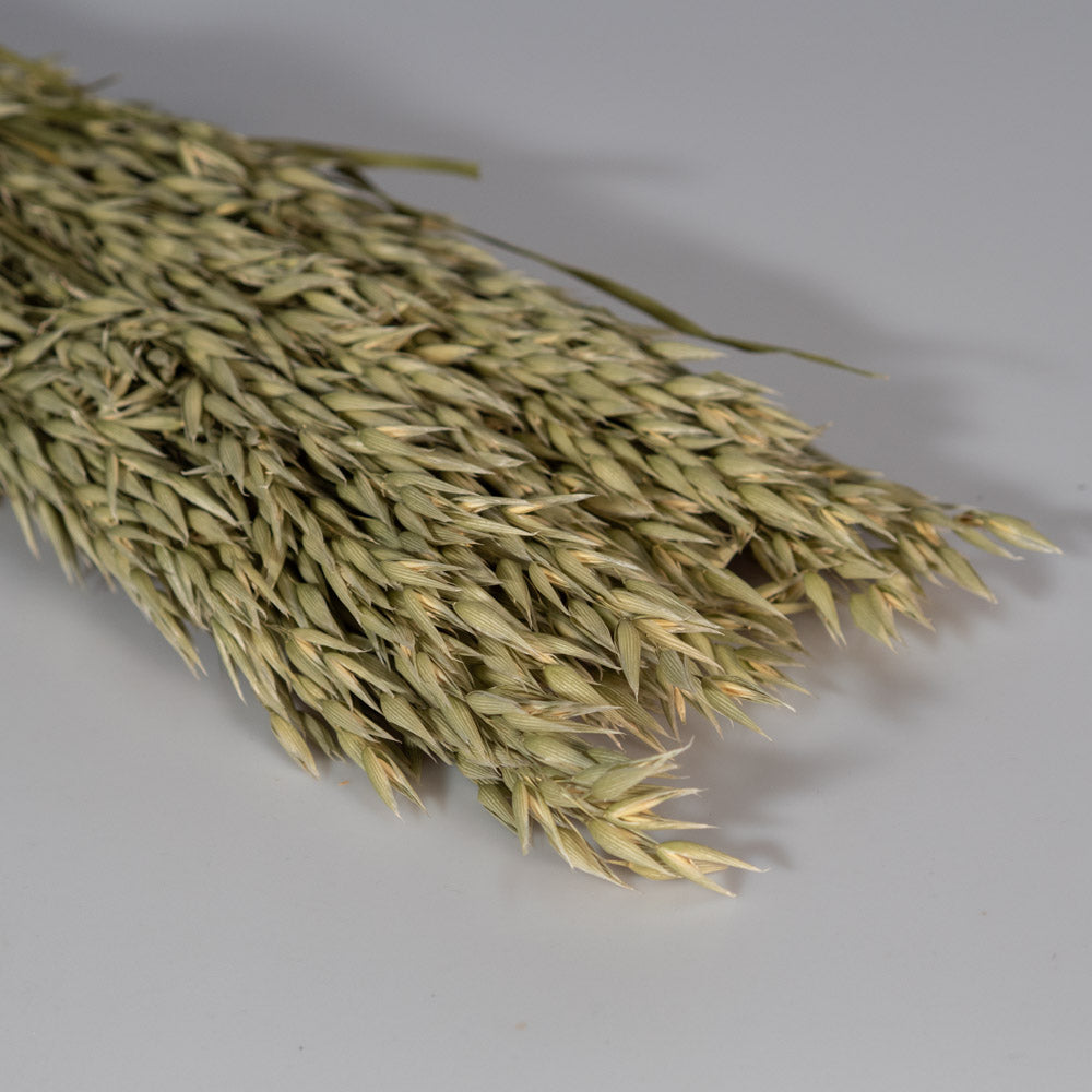 Getrockneter Hafer in natur 200g, 60cm