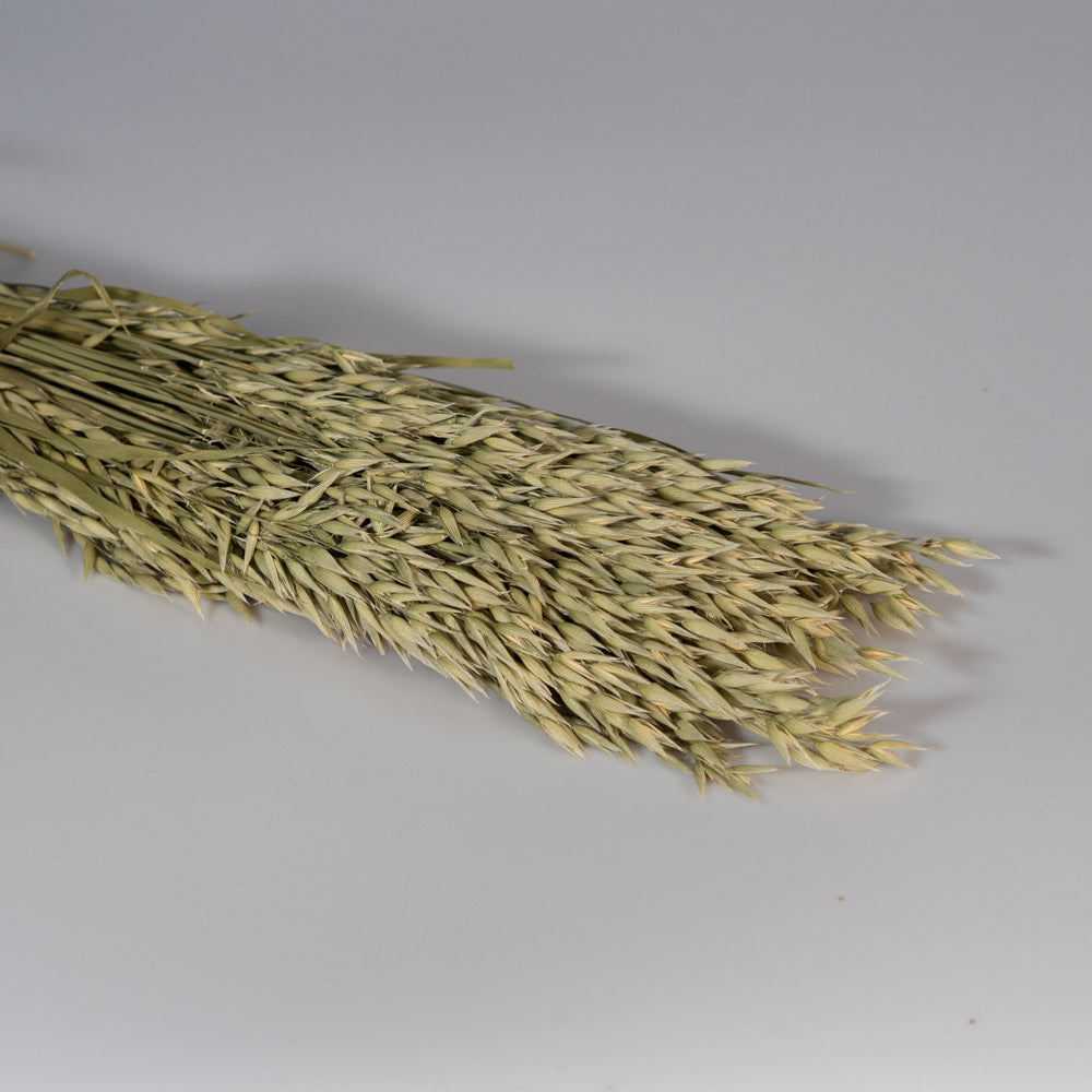 Getrockneter Hafer in natur 200g, 60cm