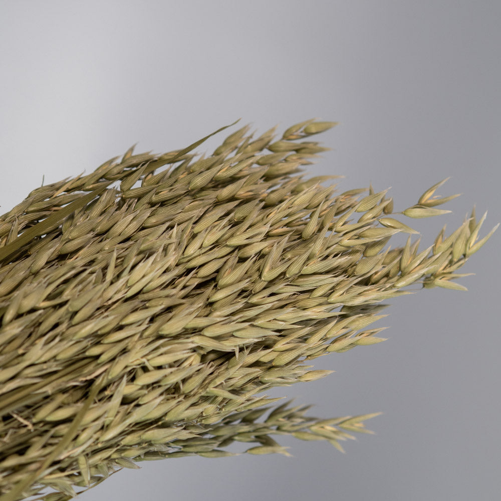 Getrockneter Hafer in natur 200g, 60cm