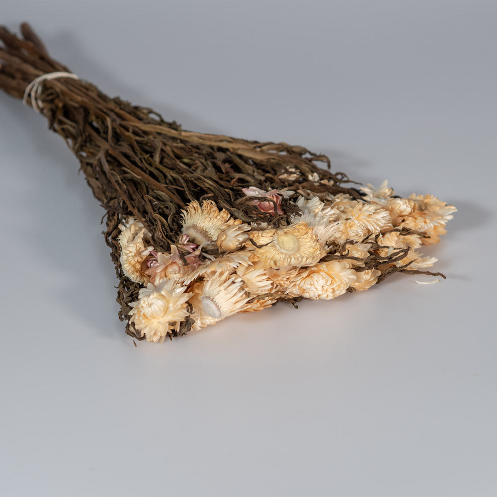 Getrocknete Strohblume in natur 100g, 50cm