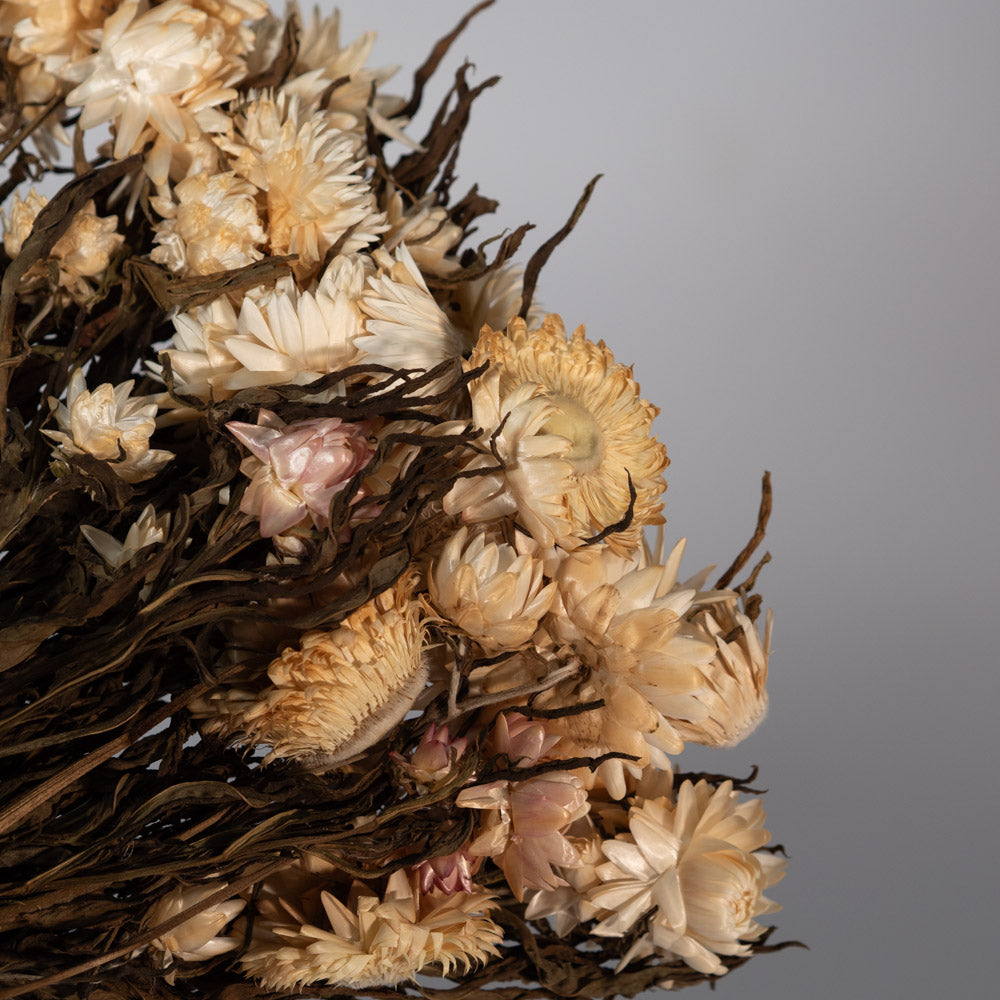 Getrocknete Strohblume in natur 100g, 50cm