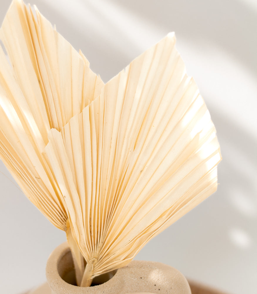 Getrocknetes Palmblatt gebleicht, Bund 10 Stiele / Stück 1 Stiel - mahina