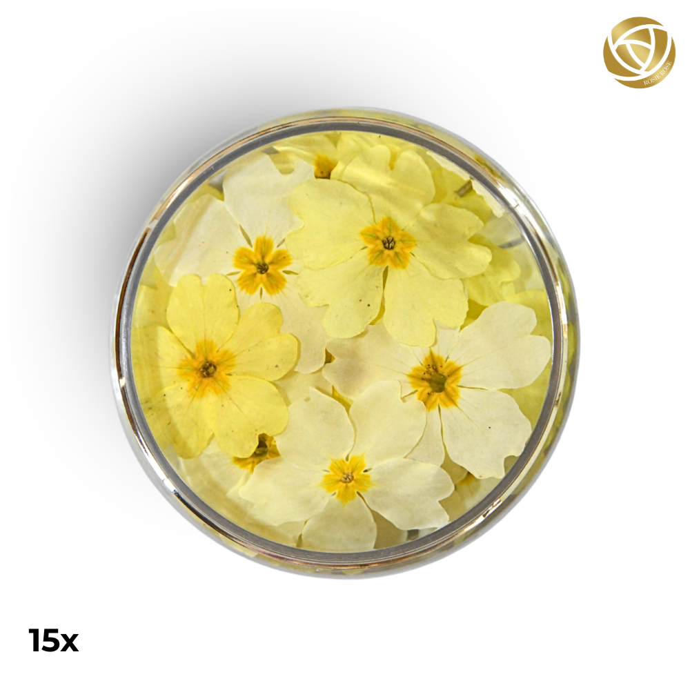 Rosie Rose "Special Blüten" 15 Stück - mahina