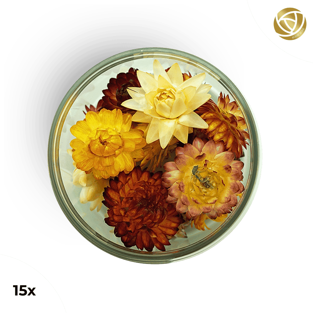 Rosie Rose "Special Blüten" 15 Stück - mahina