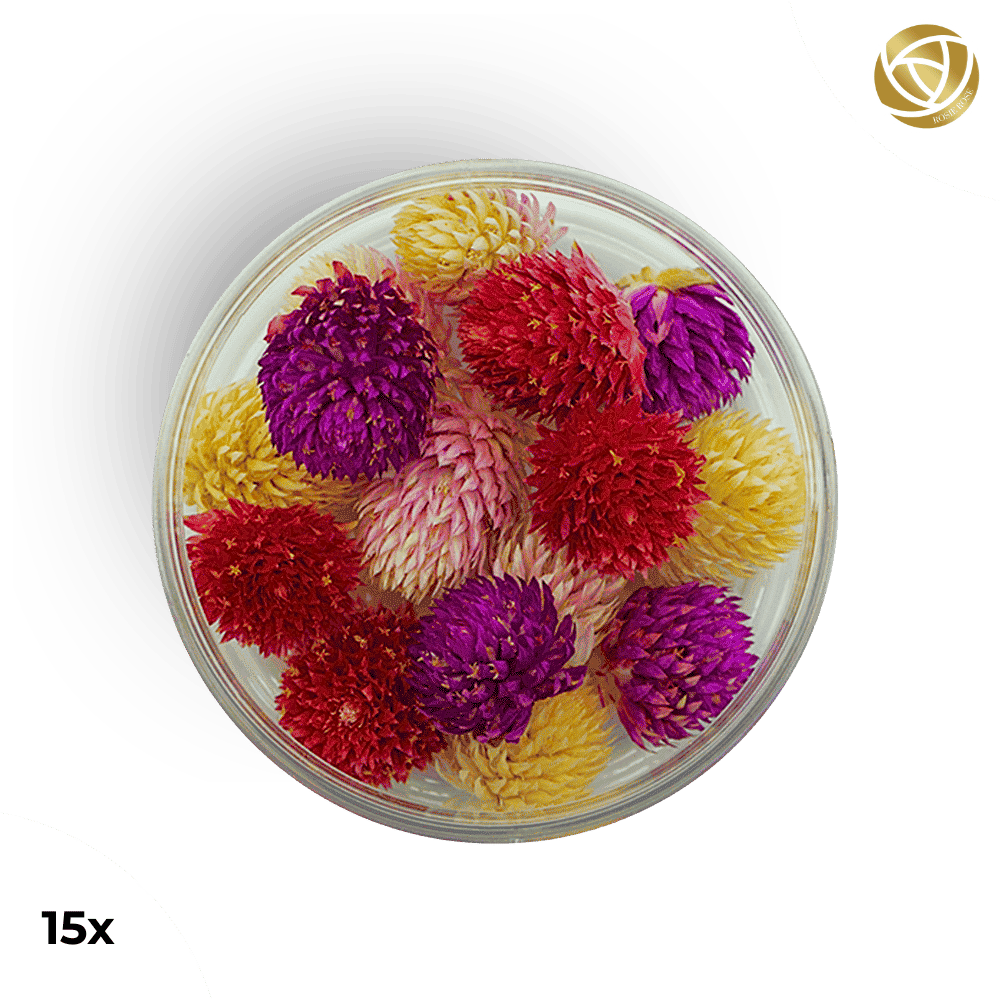 Rosie Rose "Special Blüten" 15 Stück - mahina