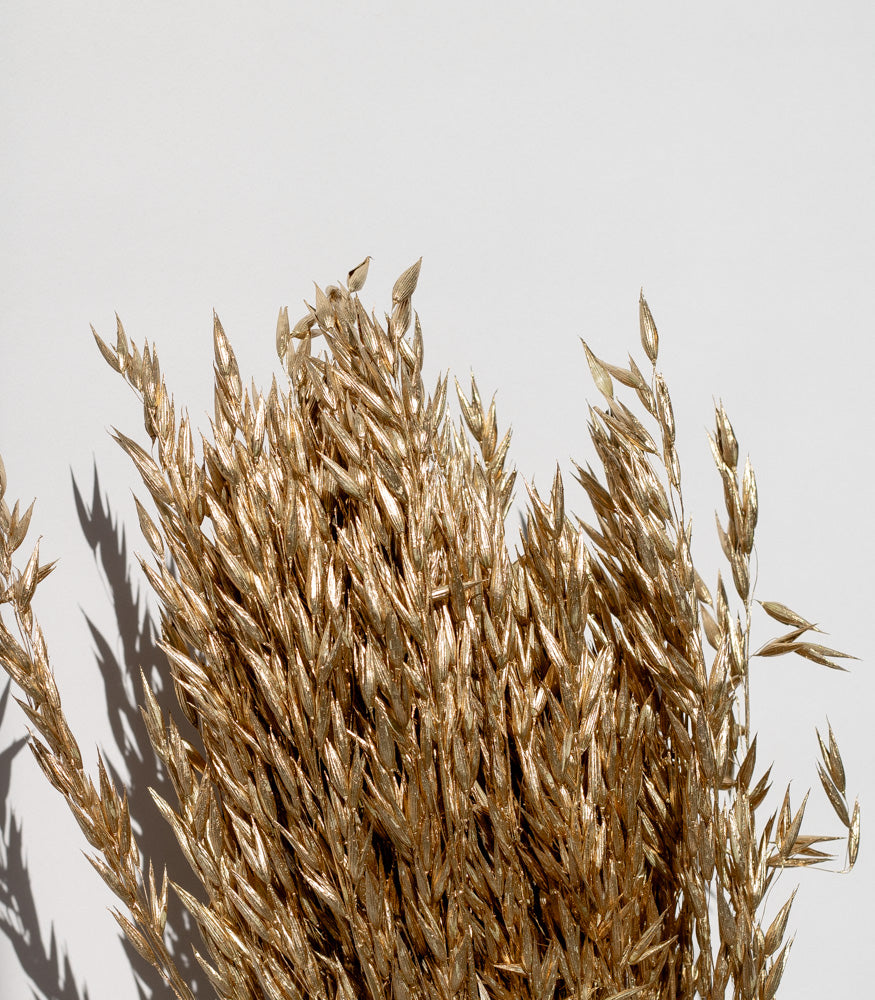 Getrockneter Hafer in gold, Bund 60cm - SALE - mahina
