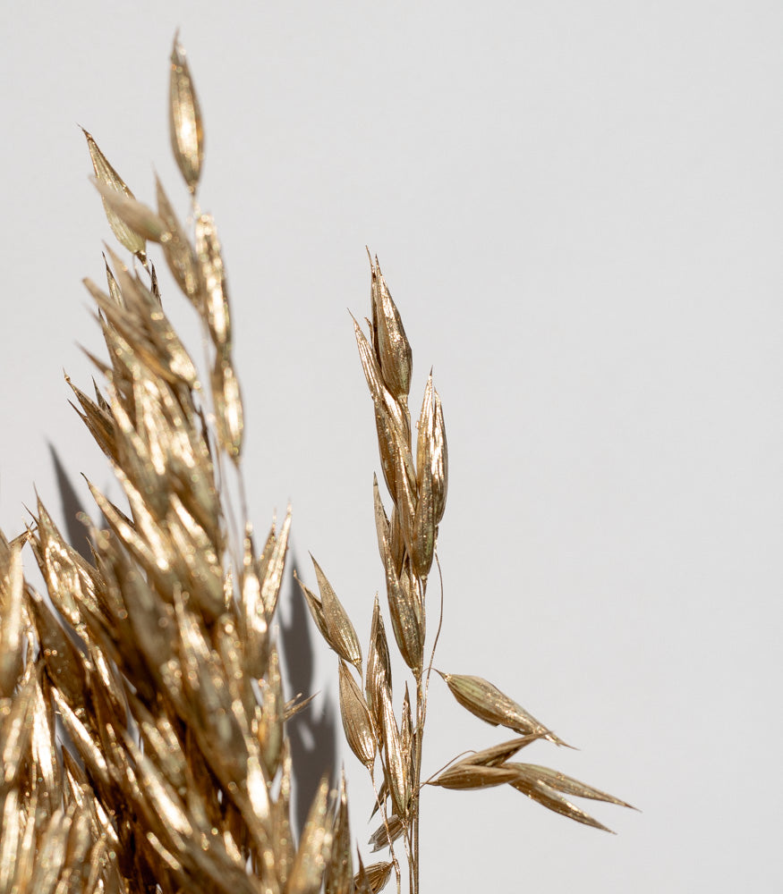 Getrockneter Hafer in gold, Bund 60cm - SALE - mahina