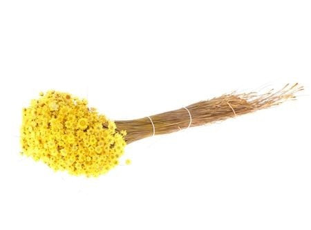 Getrocknete Glixia in gelb, Bund 80g - Trockenblumen -> Sorten von mahina