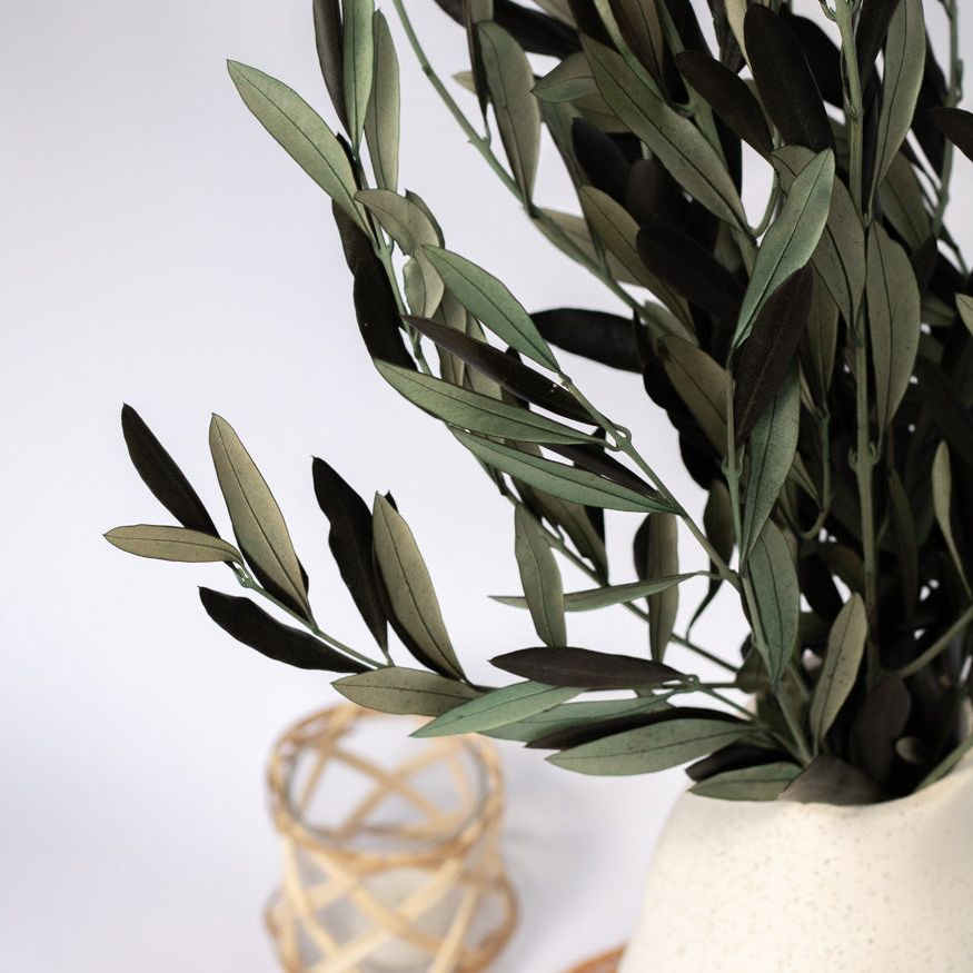 Getrocknete Olivenzweige im Bund, 150g - Trockenblumen -> Sorten von mahina