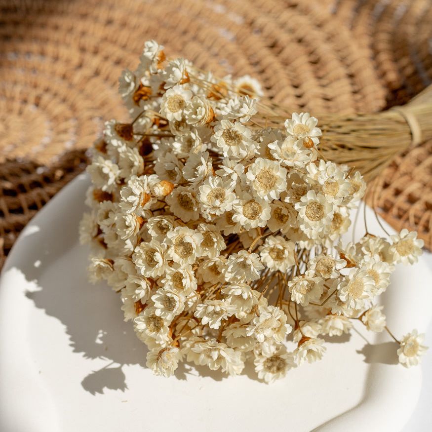 Getrockneter Glixia in natur, Bund 80g - Trockenblumen -> Sorten von mahina