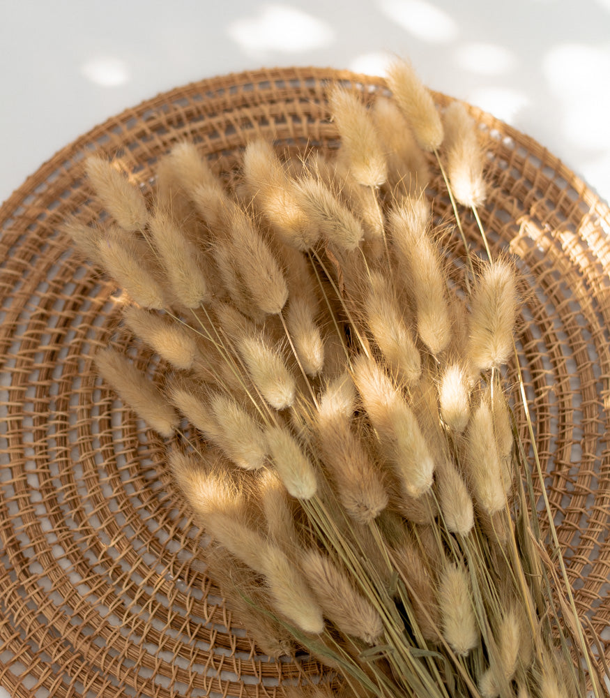 Getrockneter Lagurus in natur, Bund 100g - Trockenblumen -> Sorten von mahina