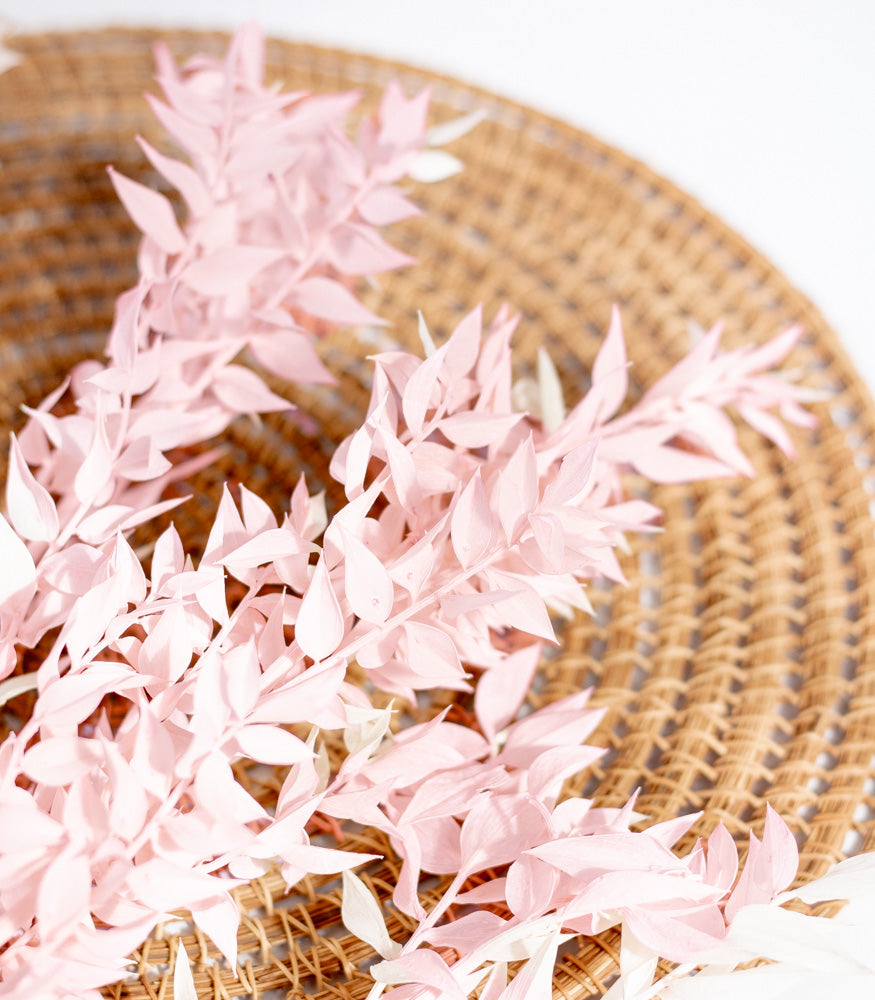 Getrockneter Ruscus in light pink, 5 Stiele - Trockenblumen -> Sorten von mahina