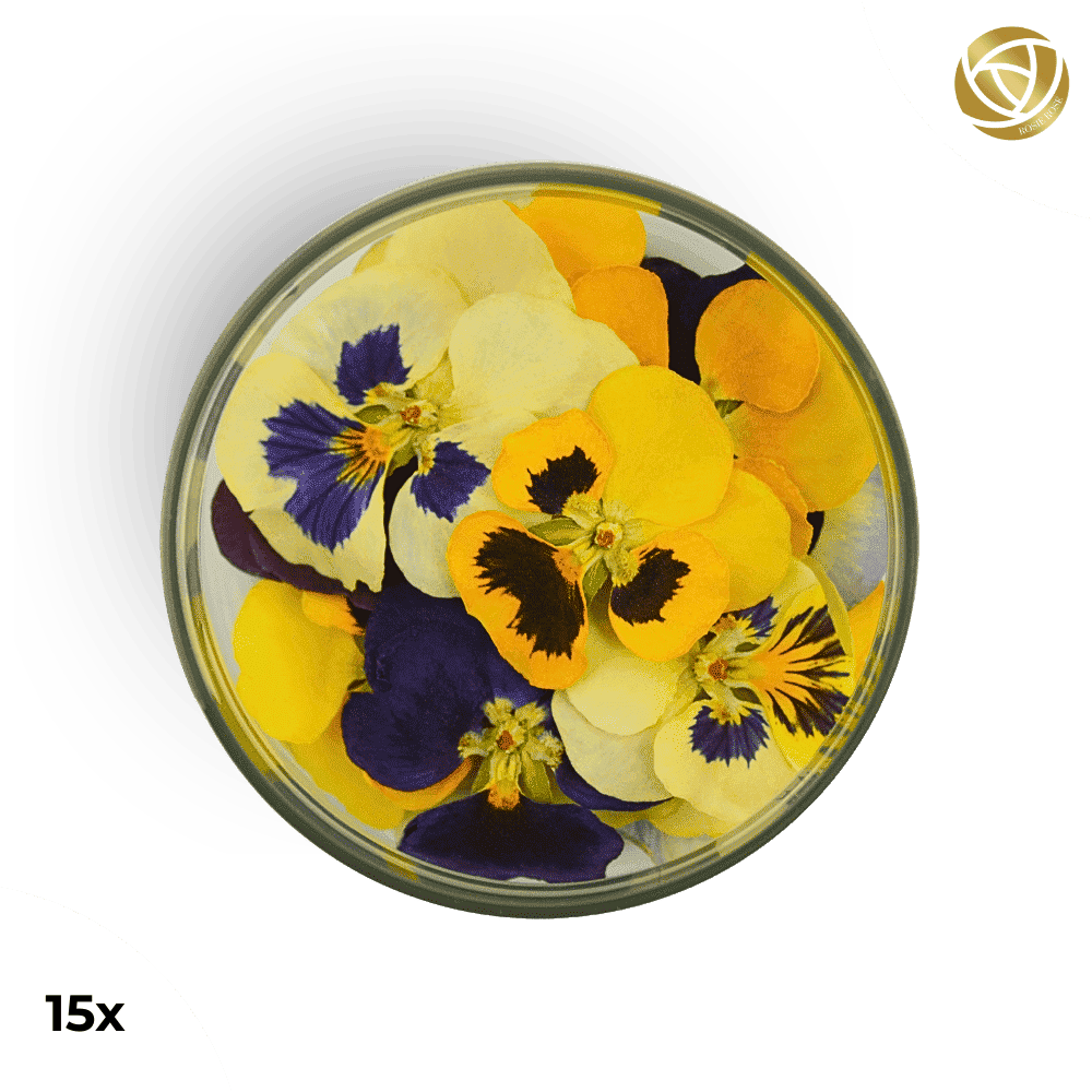 Rosie Rose "Special Blüten" 15 Stück - Essblüten von mahina