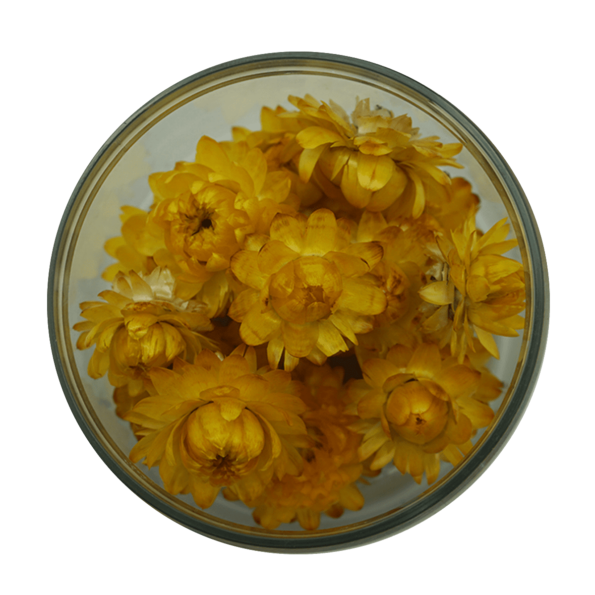 Rosie Rose "Strohblumen" 15 Stück - SALE - Essblüten von mahina