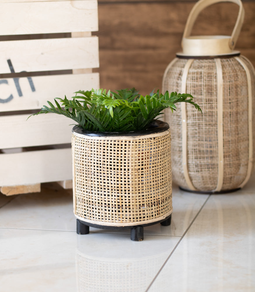 Blumentopf "Fori" - Interior > Dekoration > Blumentopf von mahina