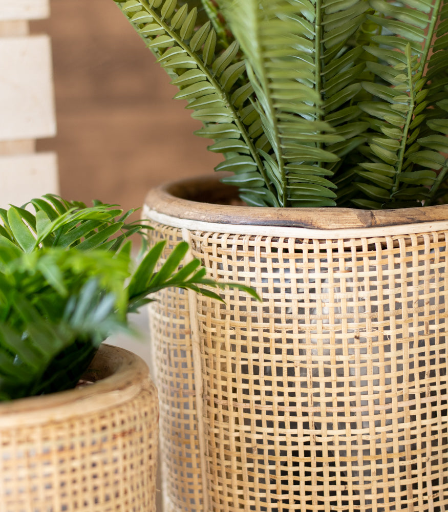 Blumentopf "Fori" - Interior > Dekoration > Blumentopf von mahina