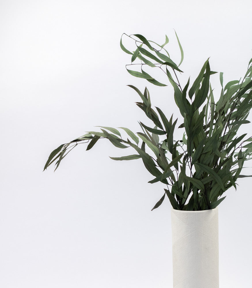 Getrockneter Eukalyptus "Nicoli", Bund 150g - mahina