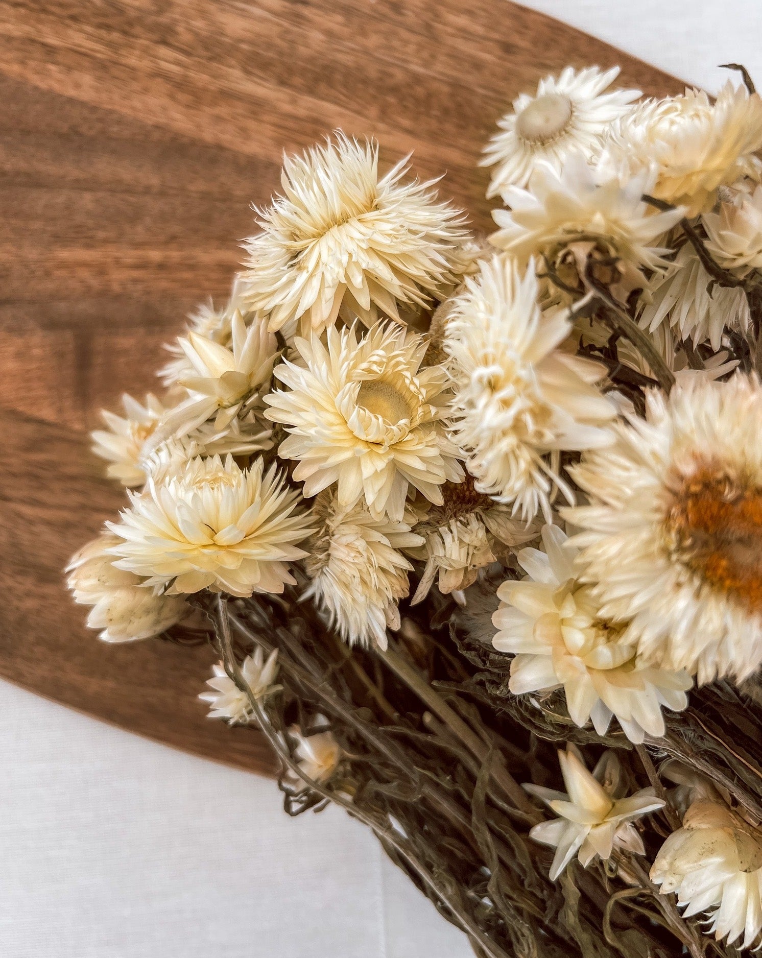 Getrocknete Strohblume in weiß, Bund 150g - mahina
