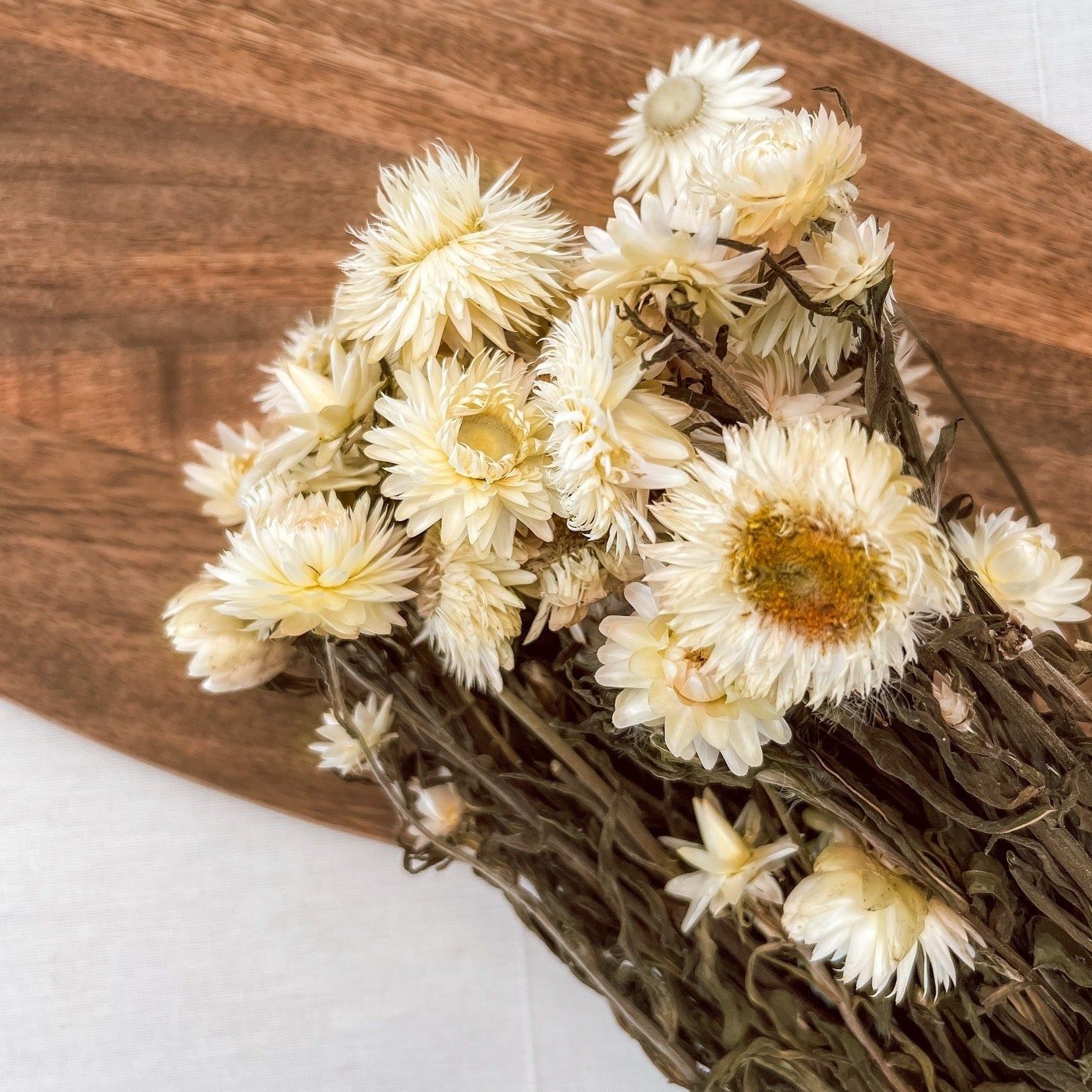 Getrocknete Strohblume in weiß, Bund 150g - mahina