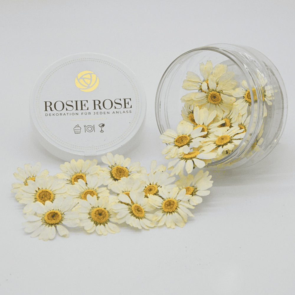 Rosie Rose "Special Blüten" 15 Stück - mahina