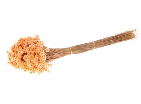 Getrocknete Glixia in peachy, Bund 80g - mahina