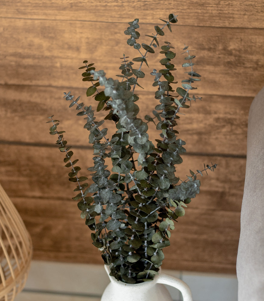 Getrockneter Eukalyptus "Baby Blue", Bund 150g - mahina