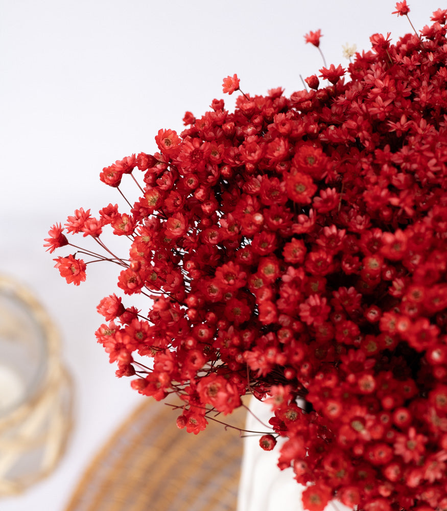 Getrocknete Glixia in rot, Bund 70g - mahina