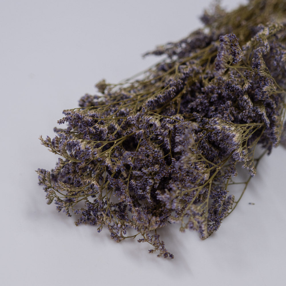 Getrockneter Limonium Diamond in blau, 50g, 60cm - Trockenblumen -> Sorten von mahina