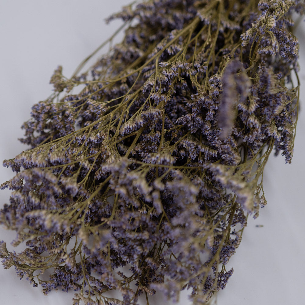 Getrockneter Limonium Diamond in blau, 50g, 60cm - Trockenblumen -> Sorten von mahina