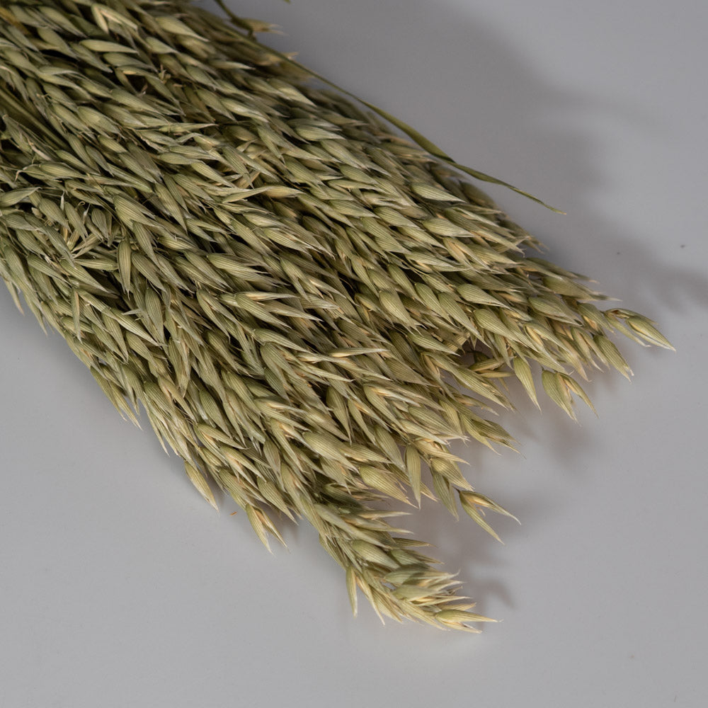 Getrockneter Hafer in natur 200g, 60cm