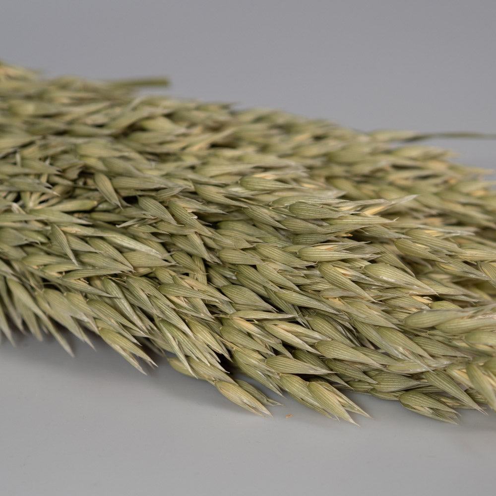Getrockneter Hafer in natur 200g, 60cm